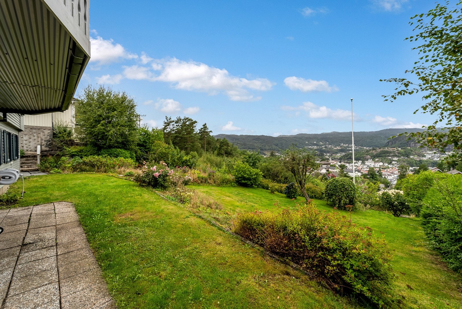 Frodig og grønt. Utsikt over sentrum. Galleribilde