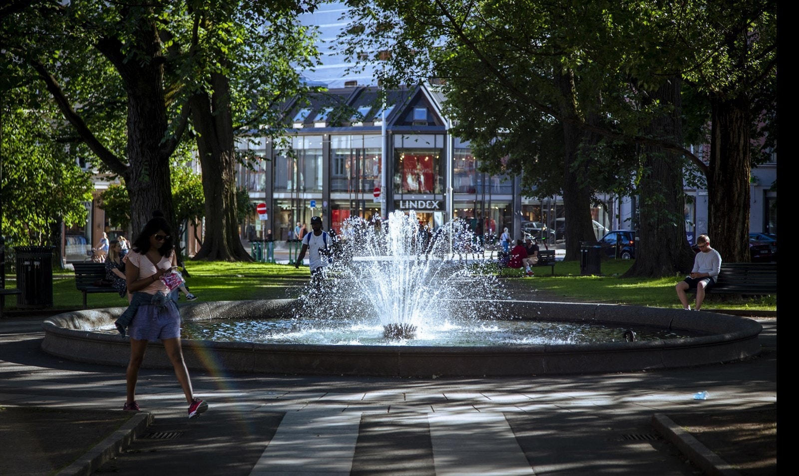 Områdebilde. Galleribilde