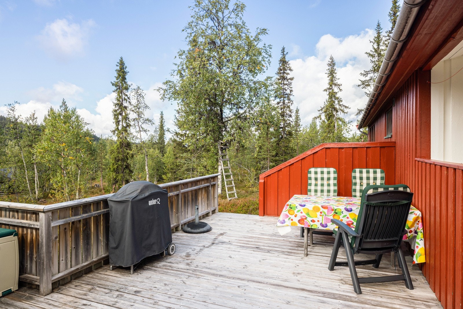 Gode solforhold på terrassen. Galleribilde