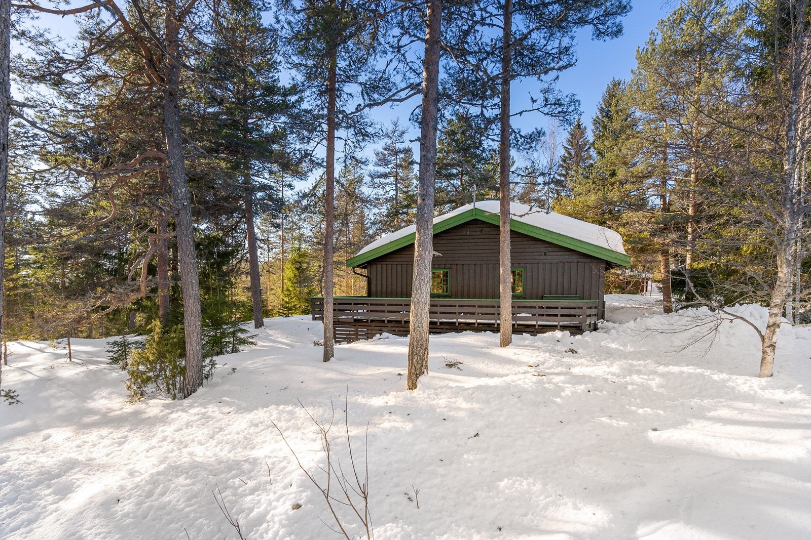 Hytta har en naturtomt. Galleribilde