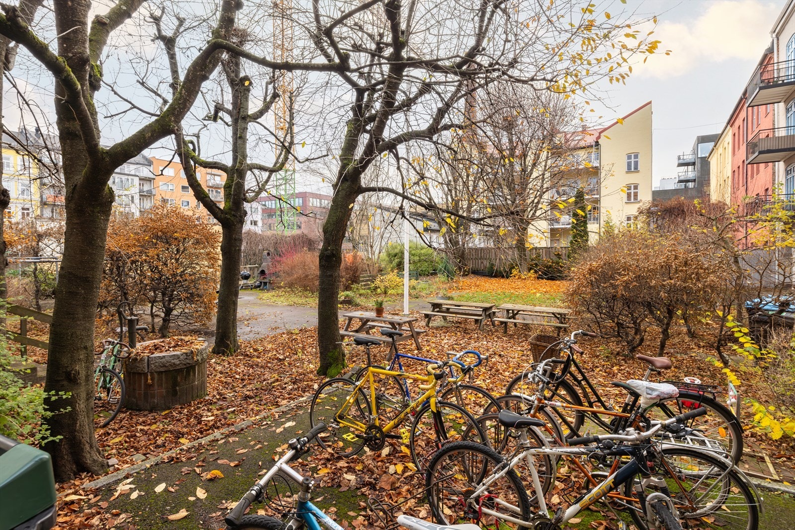 Sykkelparkering. Galleribilde