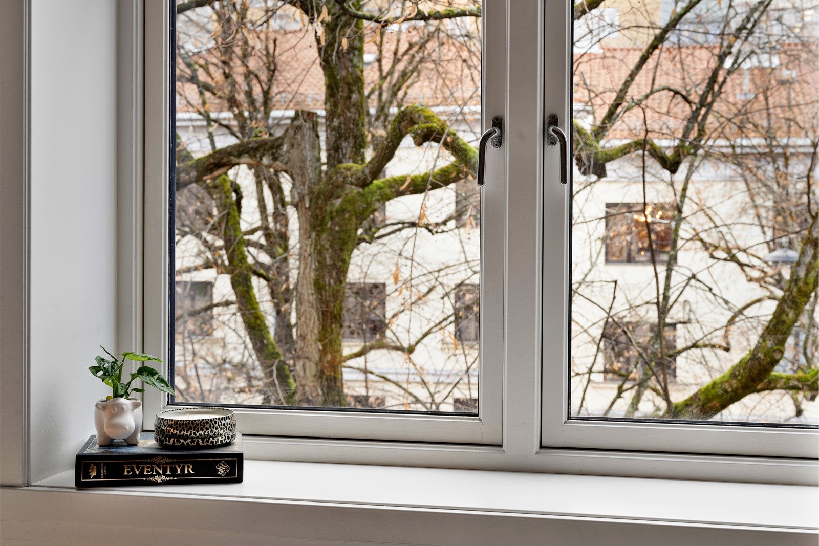 Hyggelig utsyn fra vinduet. Galleribilde