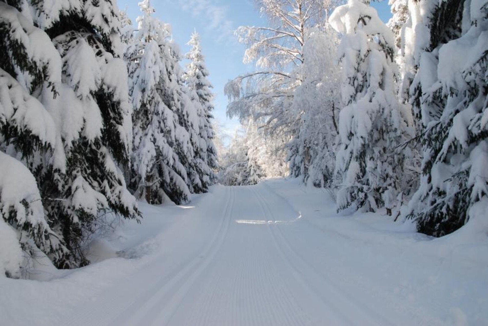 På vinterstid kan du ta på deg skiene utenfor ytterdøren og det er kort vei til stadig nypreparerte løyper innover Lillomarka. Galleribilde