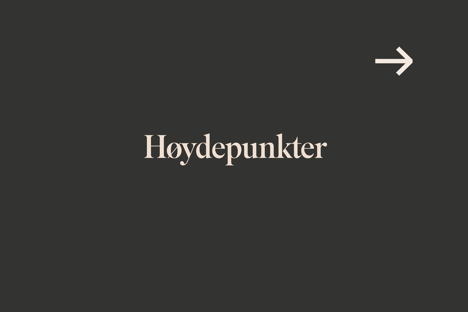 Moderne HTH kjøkken, stor balkong, to stuer med peis, heis samt medfølgende parkeringsplass i bakgård. Galleribilde