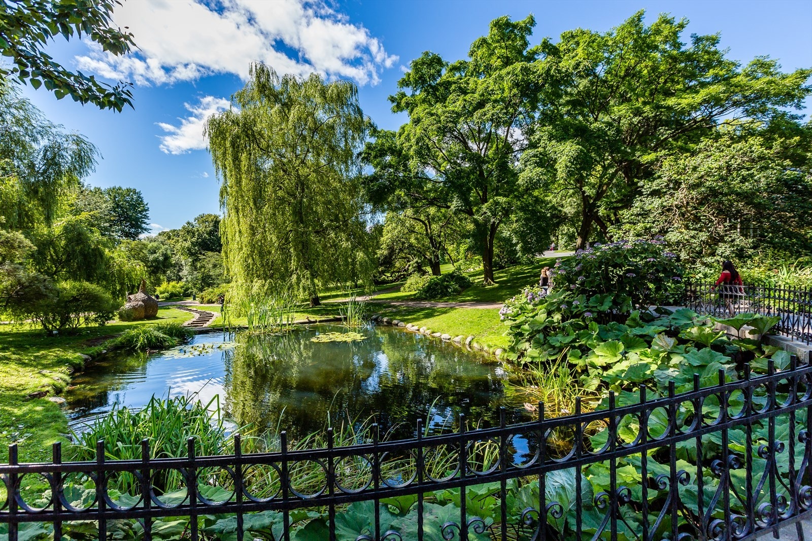 Vakre Botanisk Hage, ligger innen kort gangavstand fra leiligheten. Galleribilde