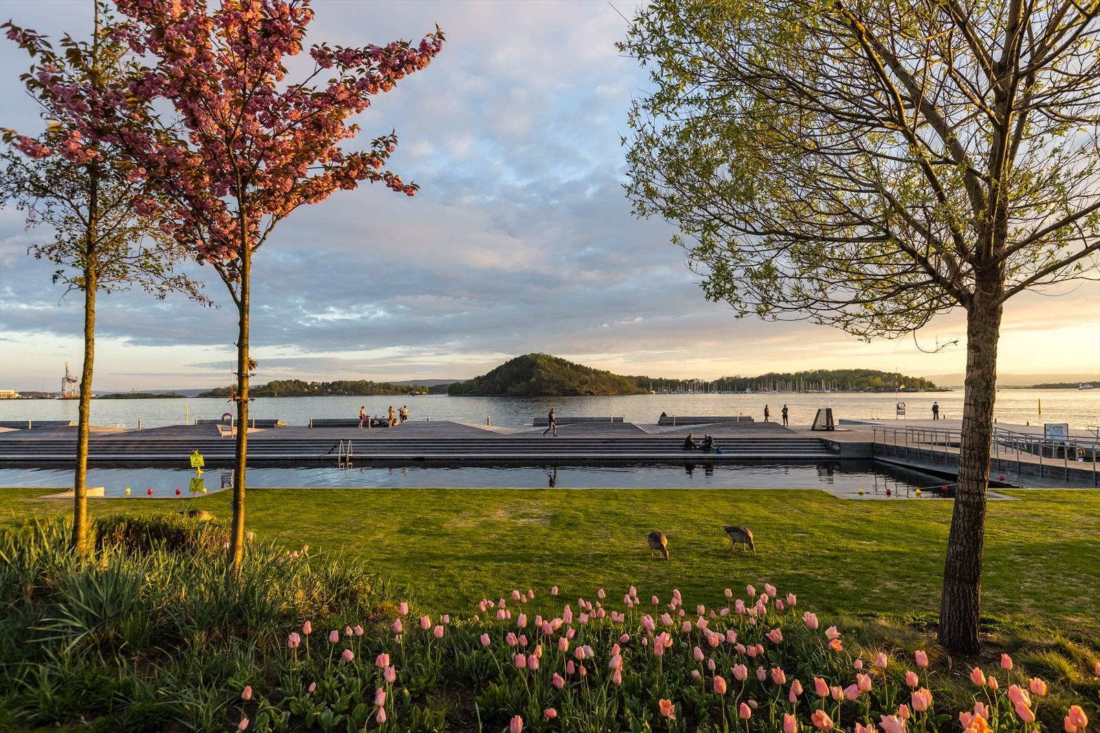 Fra Platous gate finner du Sørenga sjøbad, kun en liten rusletur unna. Her finner du sandstrand, stupebrett, bryggekanter, benker og gresslette - alt du trenger for en hyggelig sommerdag ved sjøen! Galleribilde