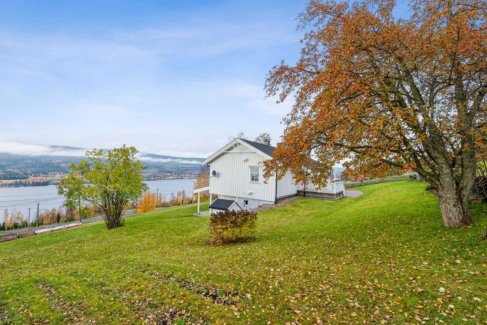 Hagen byr på rikelig med boltreplass for både to- og firbente. Galleribilde