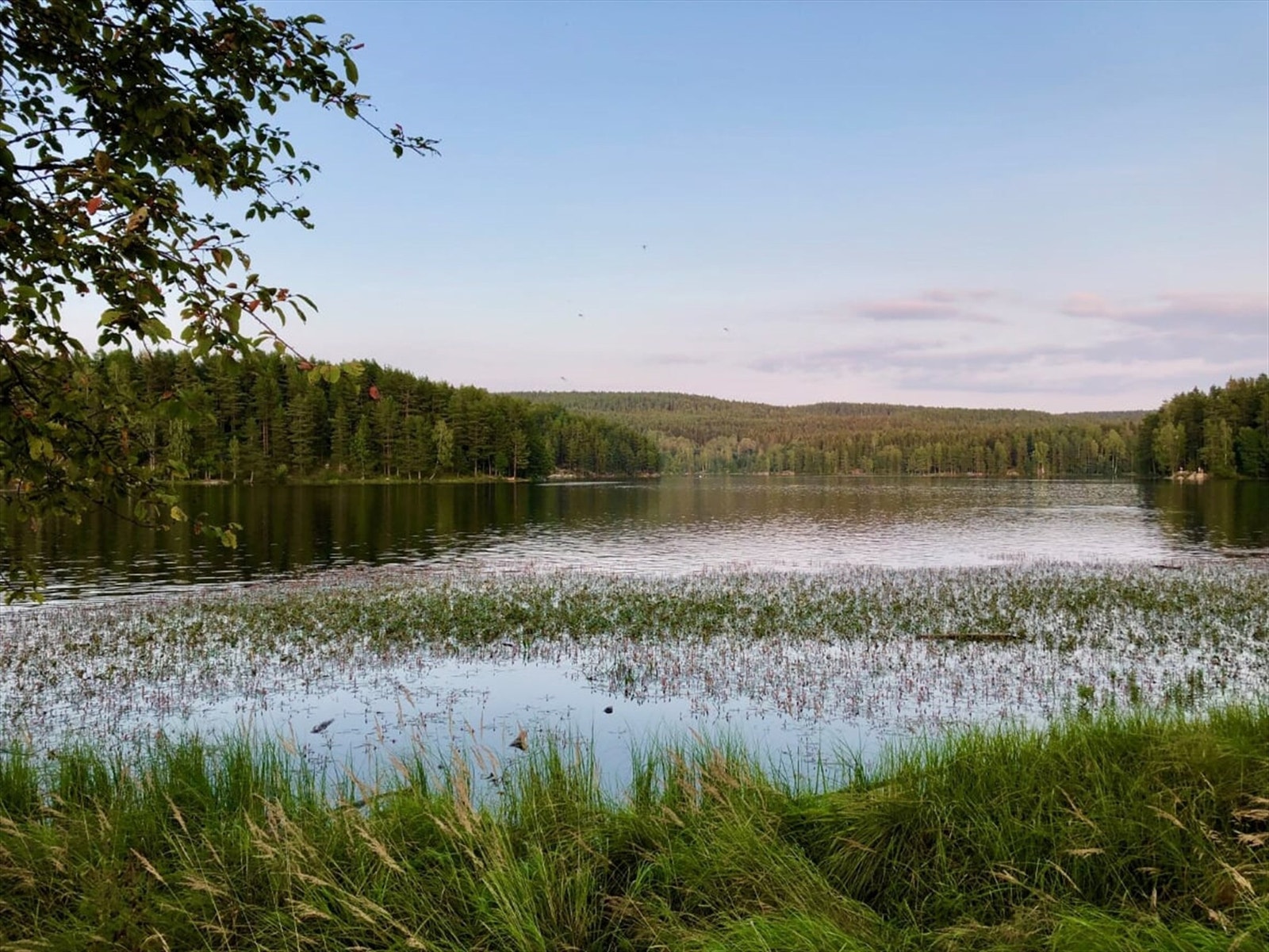 Idylliske Nøklevann ligger en spasertur fra leiligheten. Her finner du flere turstier samt Bråten badeplass. Galleribilde