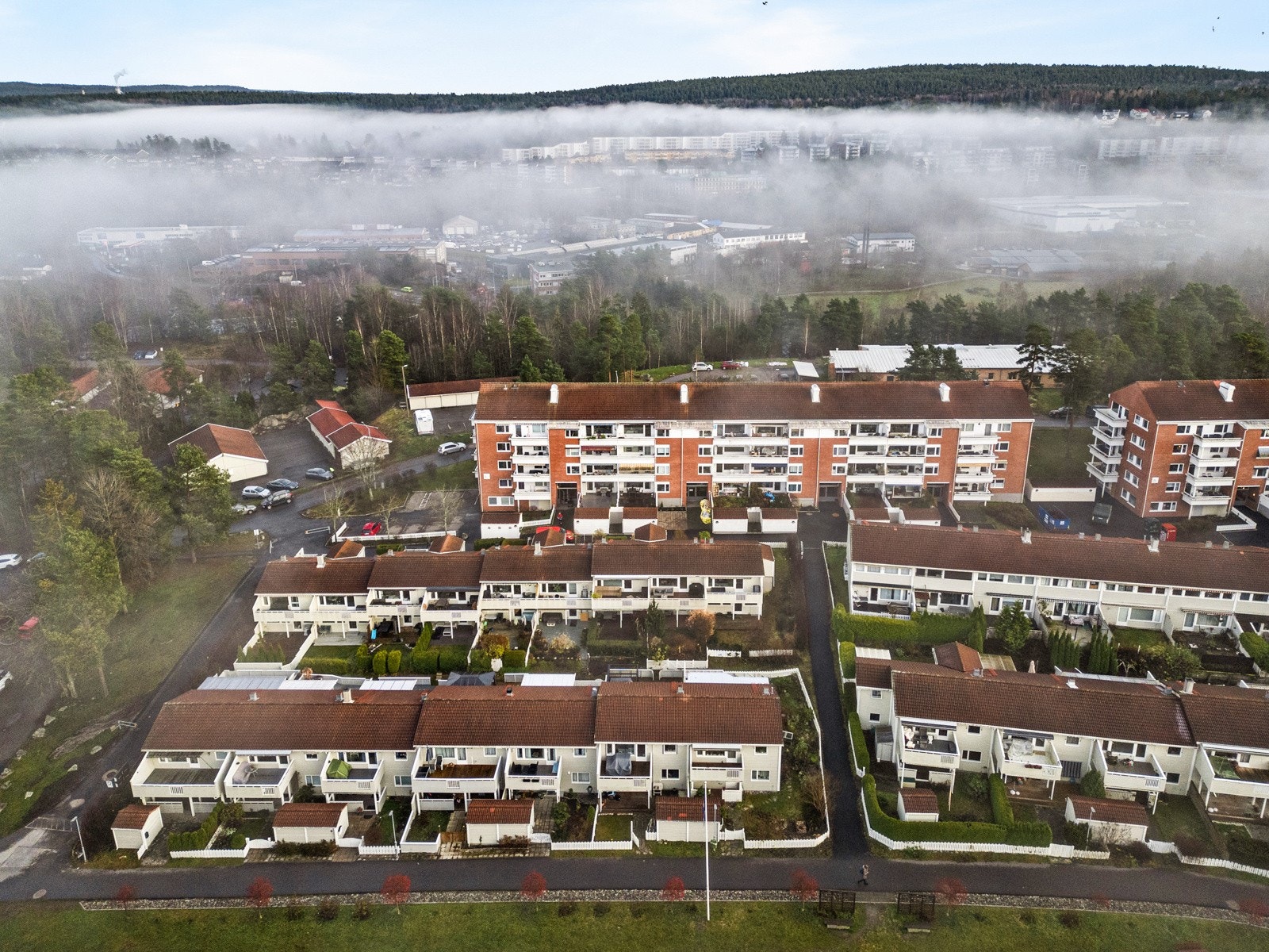 Holmlia er et godt etablert boområde syd i Oslo. Området er bygget ut fra 1980 og består i hovedsak av borettslag. Dette gir området en god stabilitet og det er lite utleie. Galleribilde