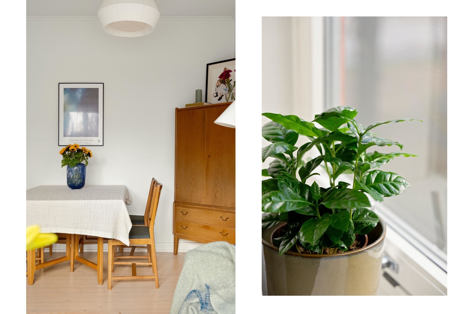 Bra med plass til større spiseplass i stuen også. Galleribilde