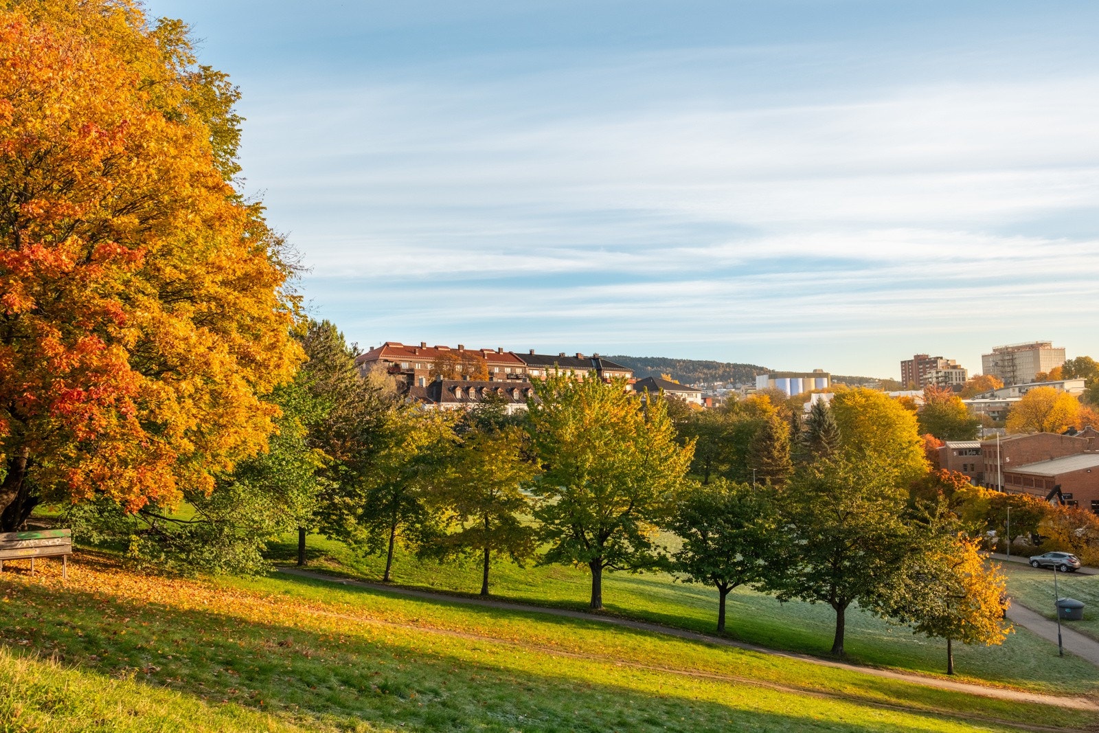 Parken du har utsikt til fra balkongen, heter Myraløkka. Galleribilde