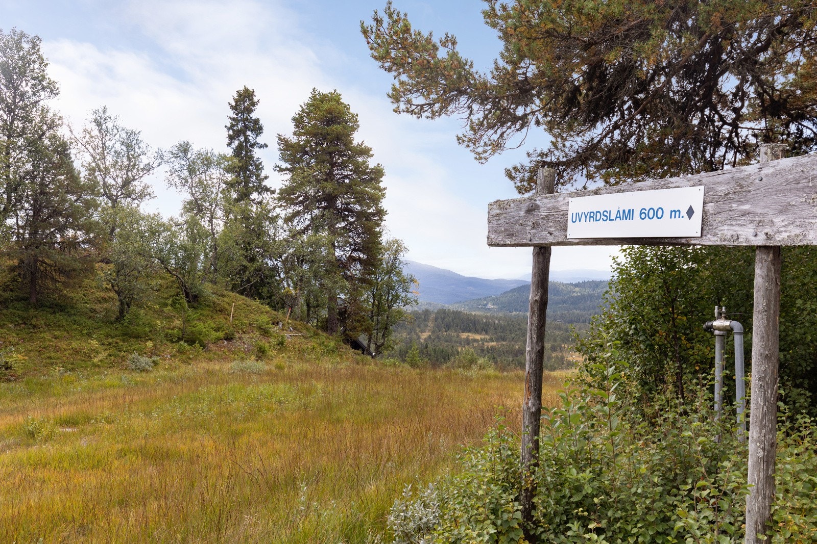 Alpinbakken. Tomten sees til venstre i bildet. Galleribilde