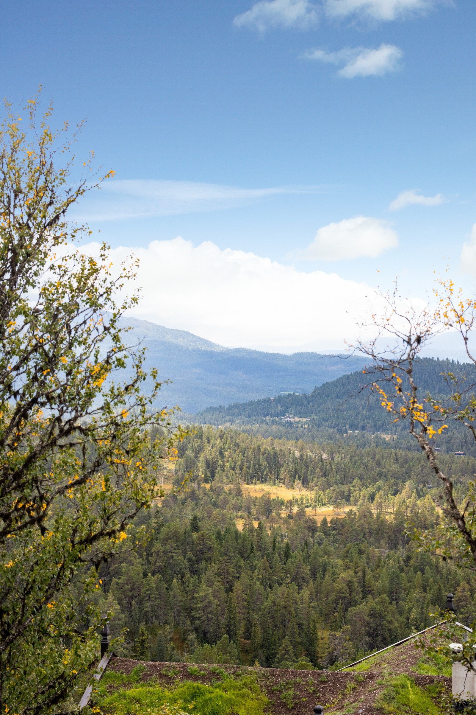 Tomten er markert i terrenget slik at man enkelt kan befare tomten på egenhånd (anbefaler å laste ned appen Norgeskart for å se tomtegrensene. Kontakt gjerne megler dersom du ønsker visning! Galleribilde