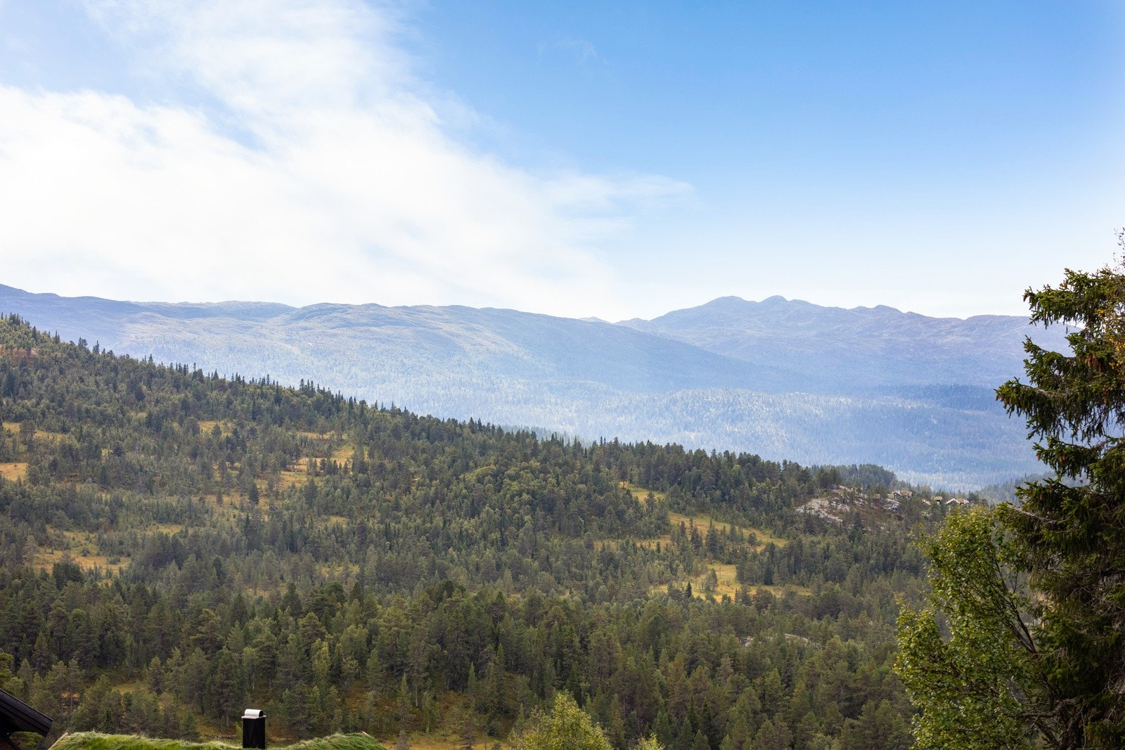 Utsikt fra tomten. Galleribilde