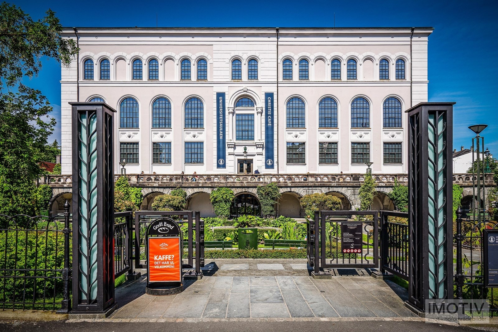 - Muséhagen, en vakker botanisk hage! Virkelig verdt et besøk - Galleribilde