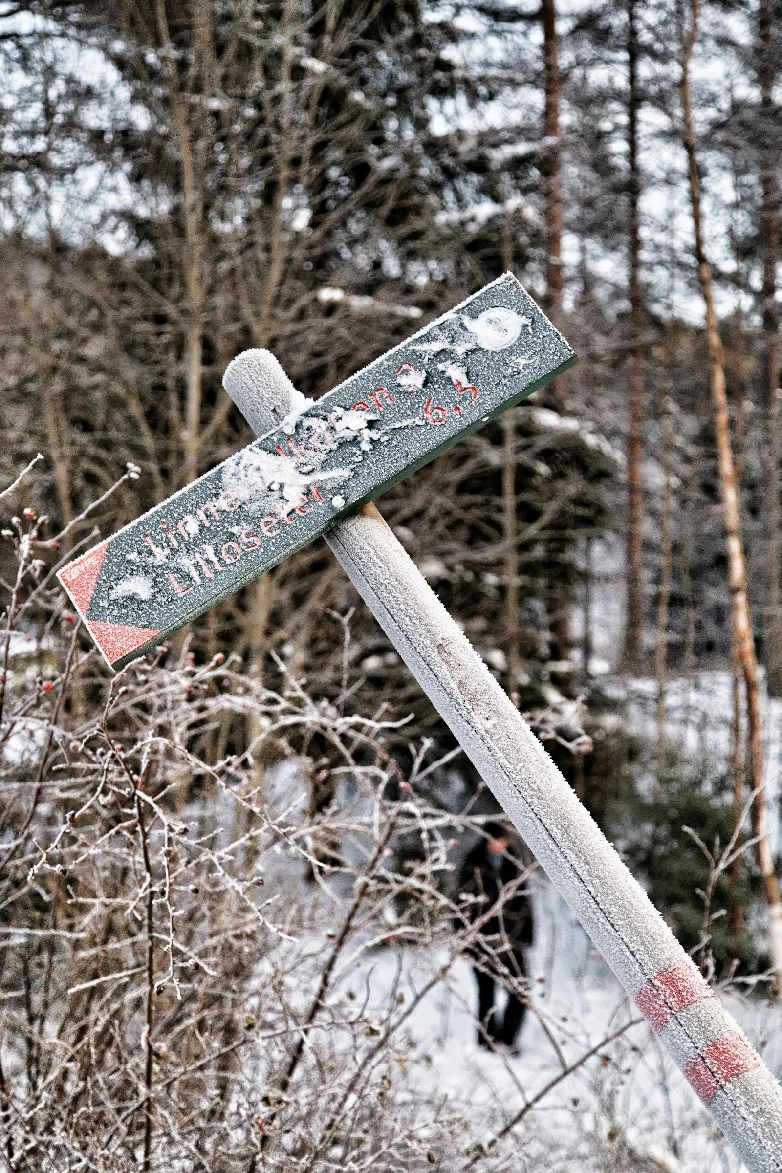 Milevis med fine skiløyper, turstier og sykkelstier Galleribilde
