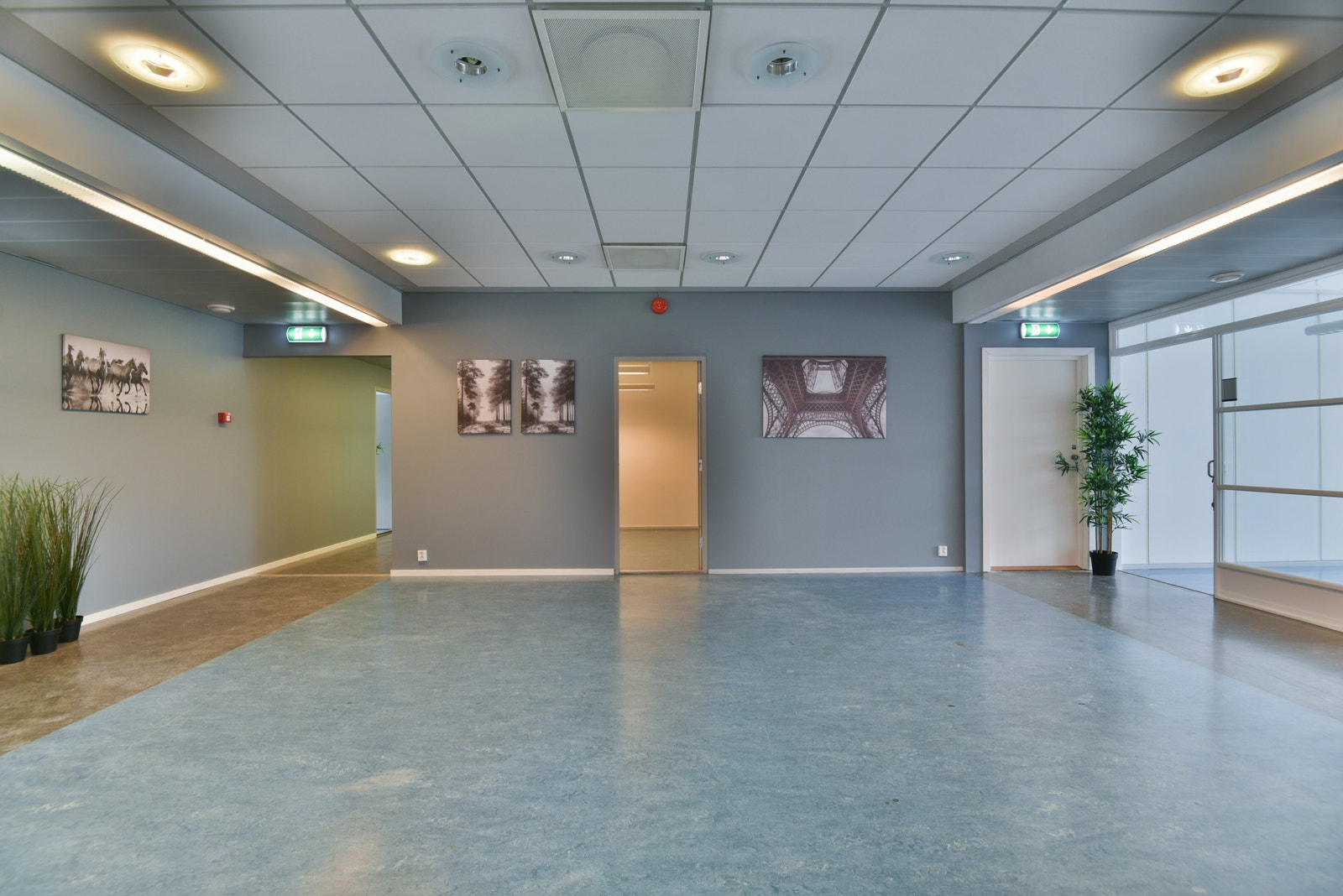 Areal D Galleribilde