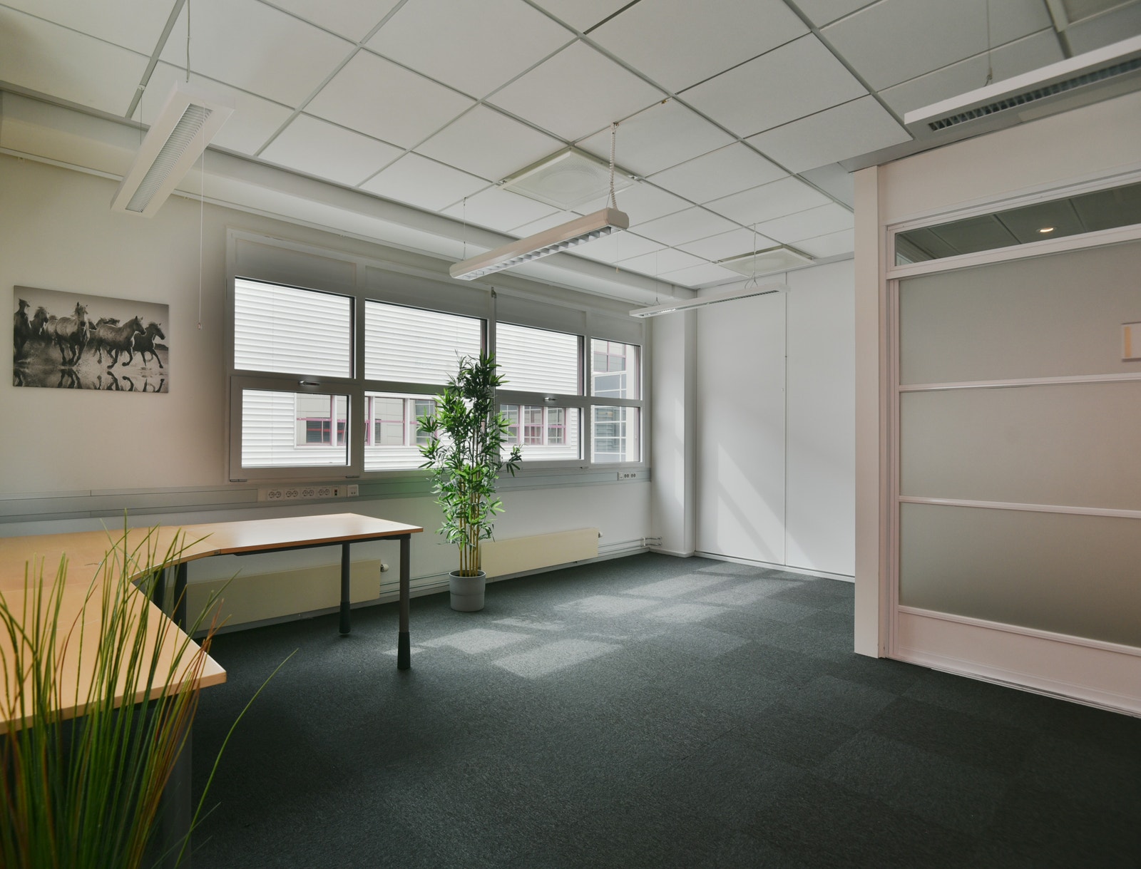 Areal B, kontor Galleribilde