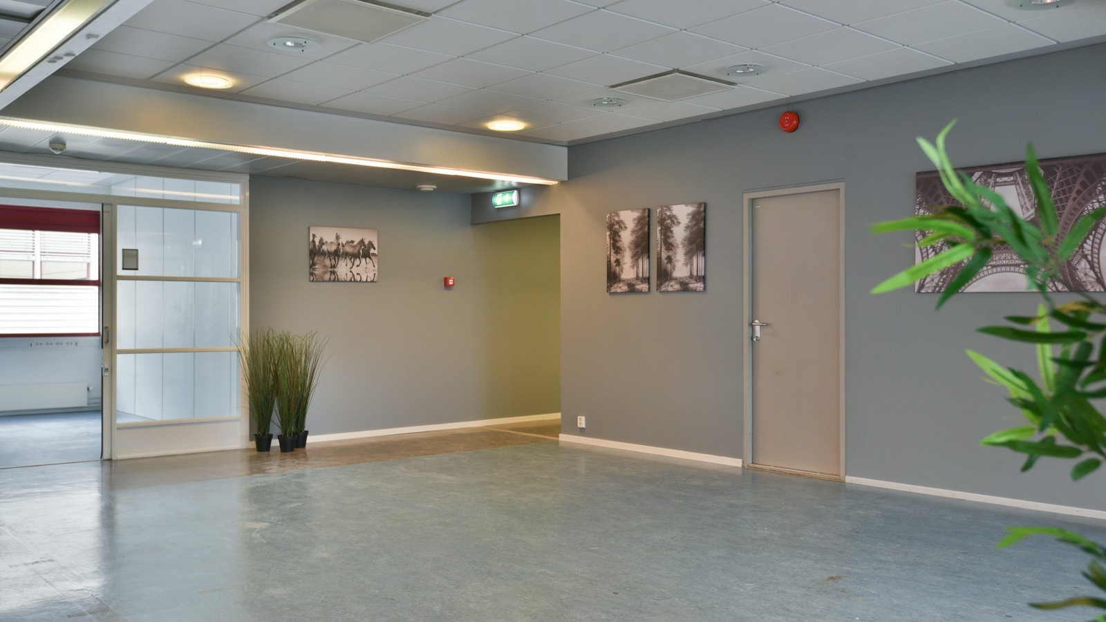 Areal D Galleribilde