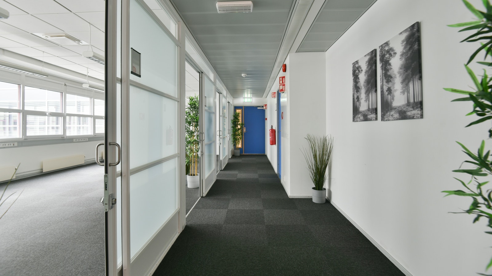 Areal B Galleribilde