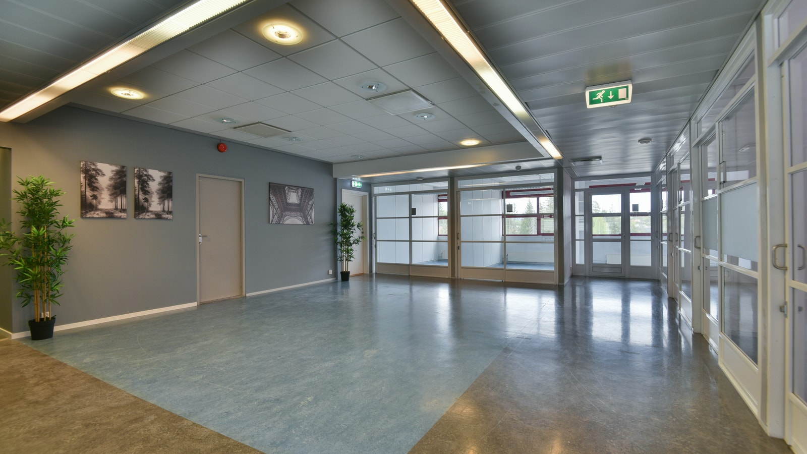 Areal D Galleribilde