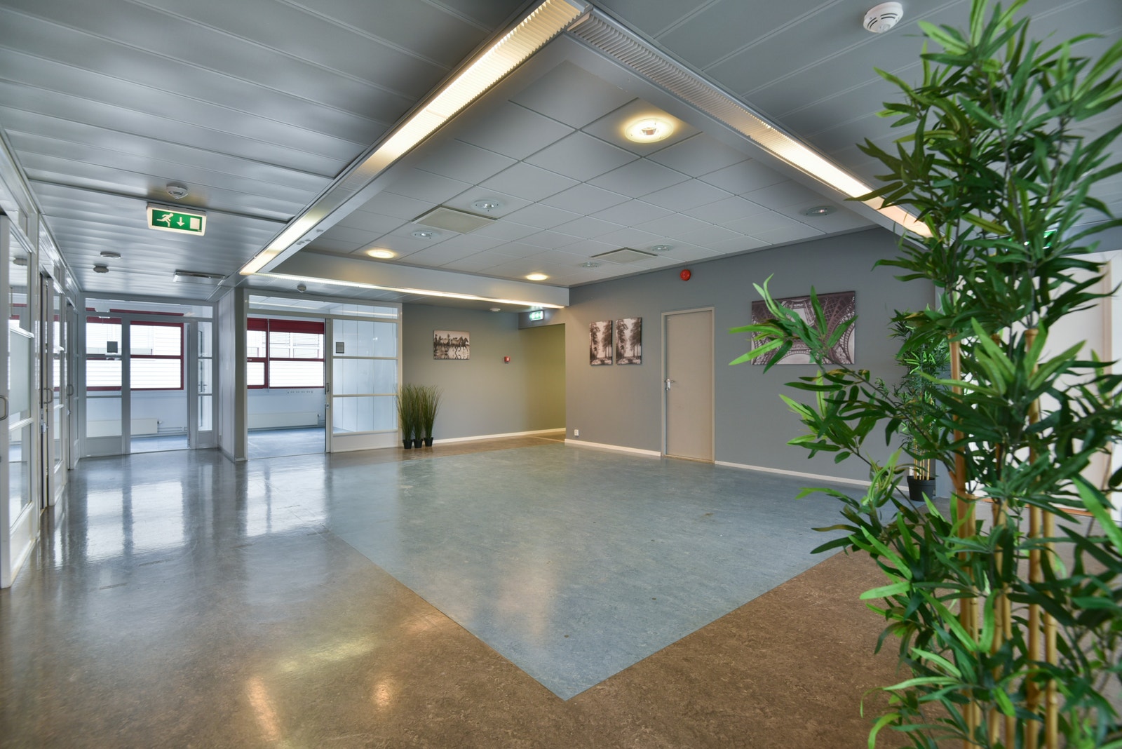 Areal D Galleribilde