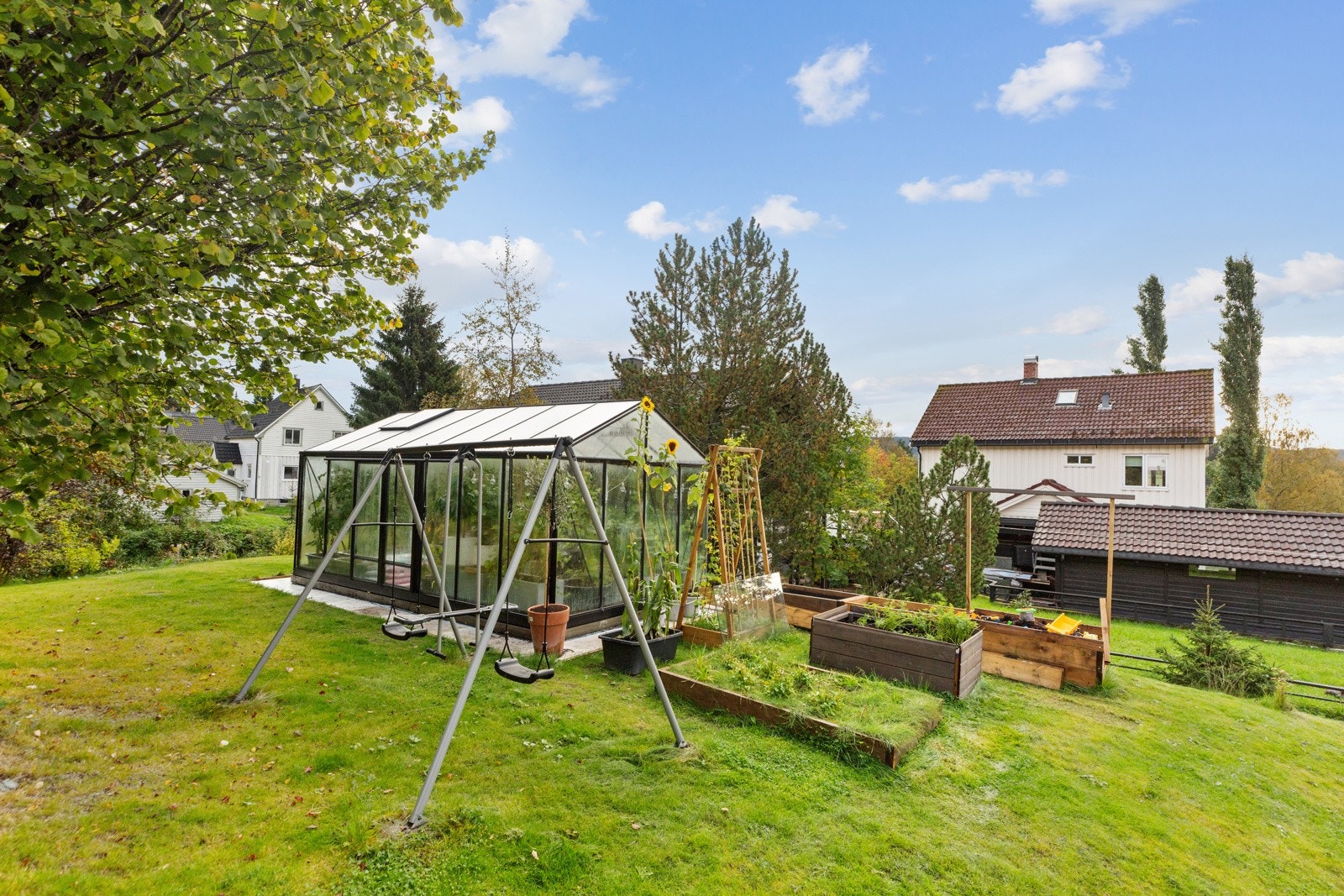 Drivhus fra 2024, som gir plantene det rette klimaet for å vokse og trives! Galleribilde