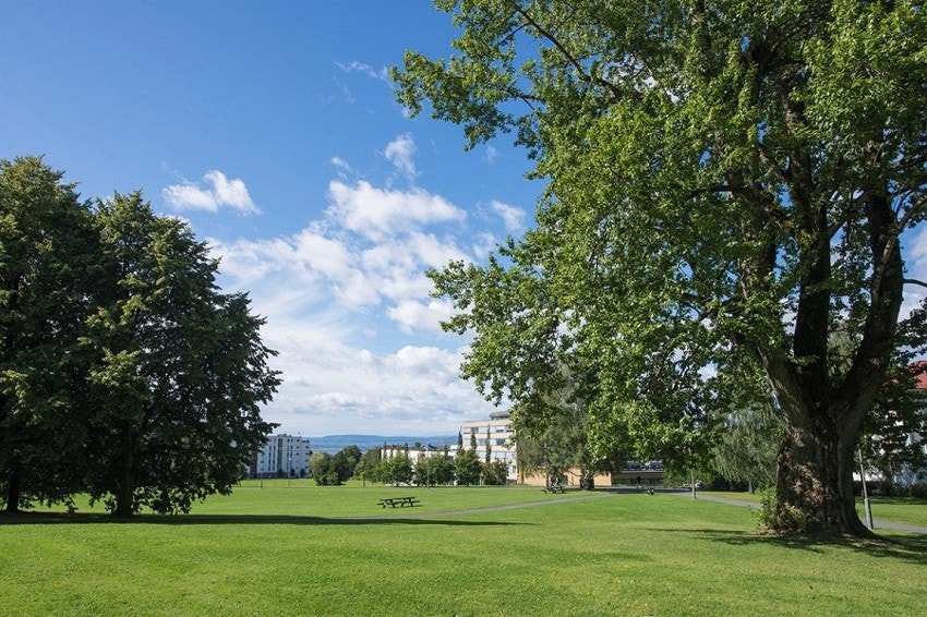 Med lite trafikk, store grøntarealer, flotte turområder og ikke minst et inkluderende og imøtekommende bomiljø er alt lagt til rette for at både store og små skal trives Galleribilde