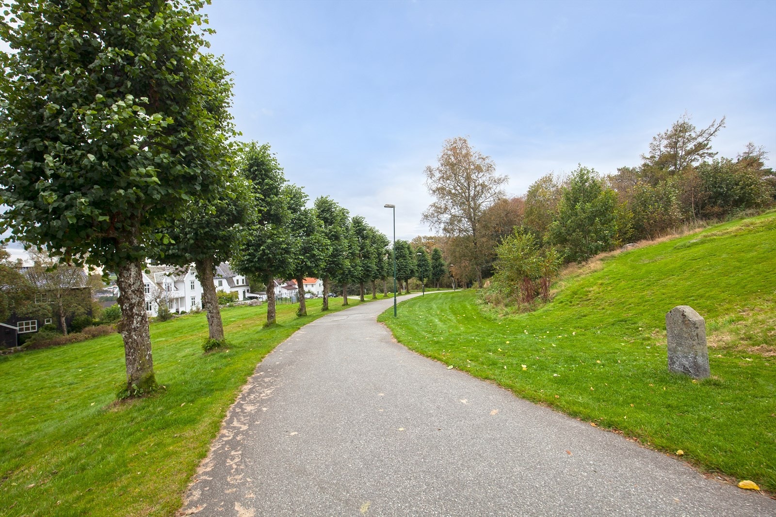 For den turglade har man flotte tur- og friområder ved Vålandsskogen og Mosvannet Galleribilde