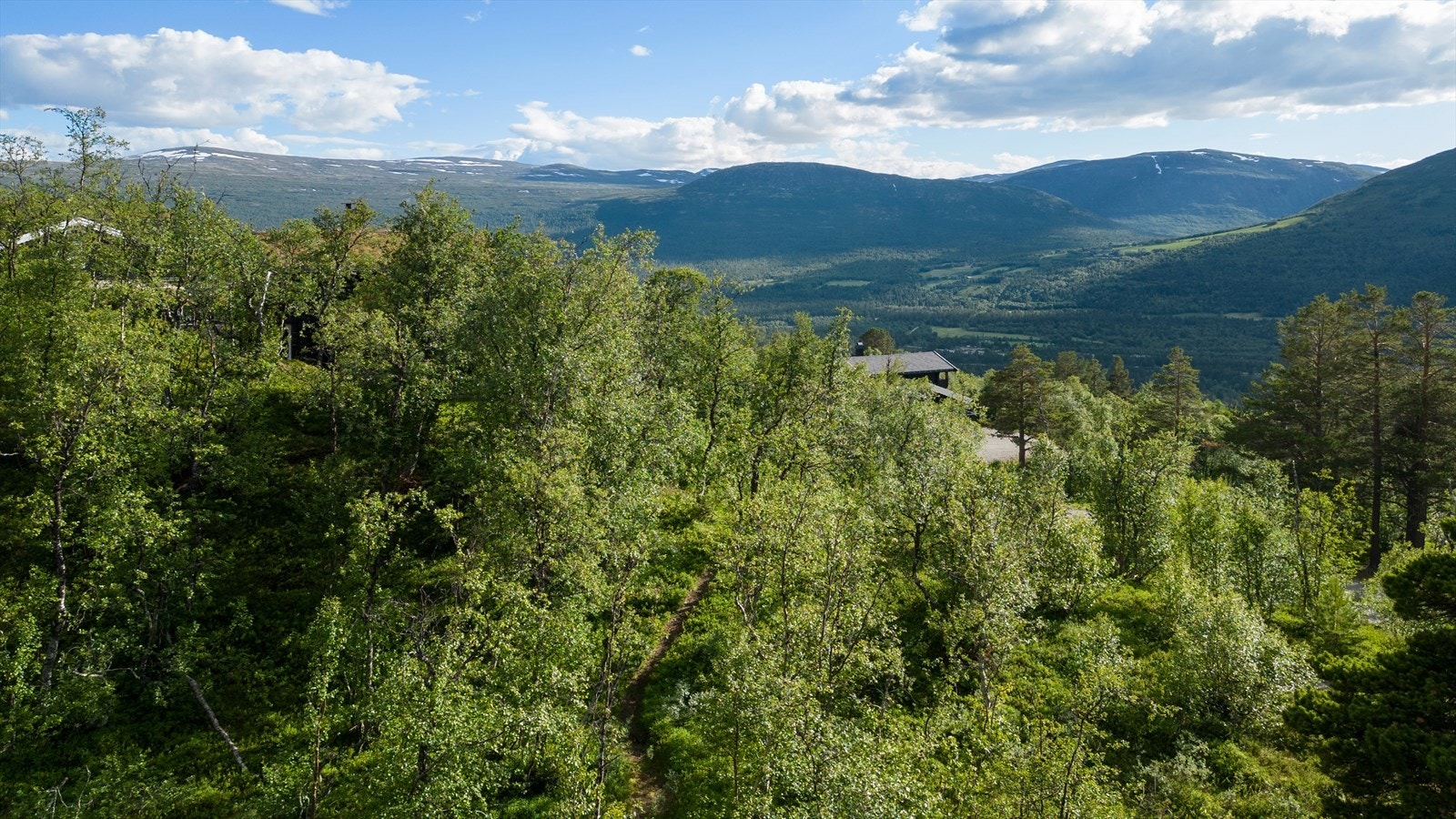 Man får også en veldig fin utsikt Galleribilde