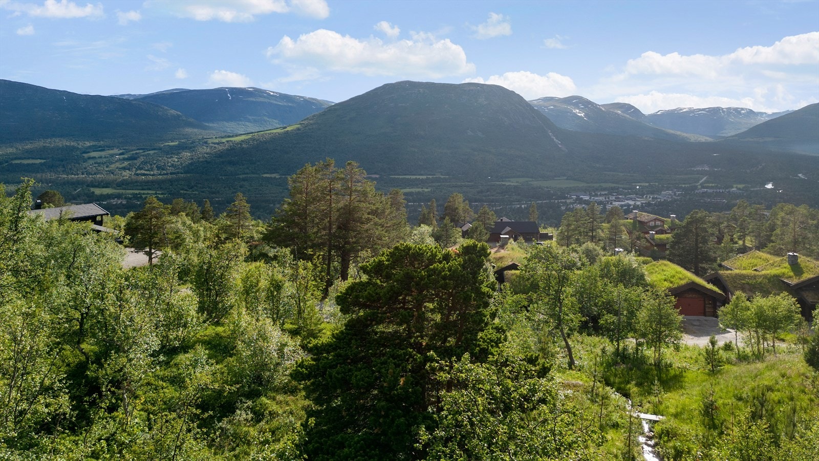 Flott utsikt mot Rånakollen Galleribilde