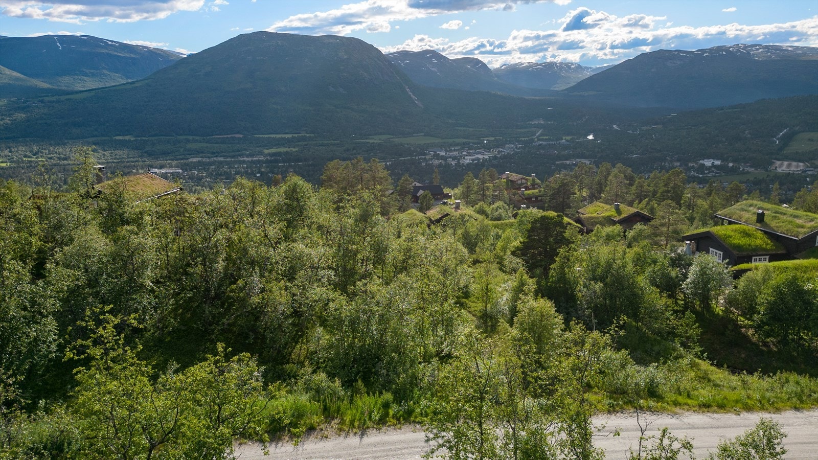 Utsikt fra tomten Galleribilde