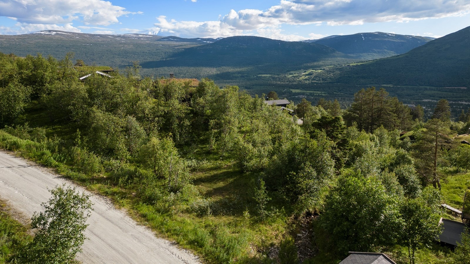 Utsikt fra tomten Galleribilde