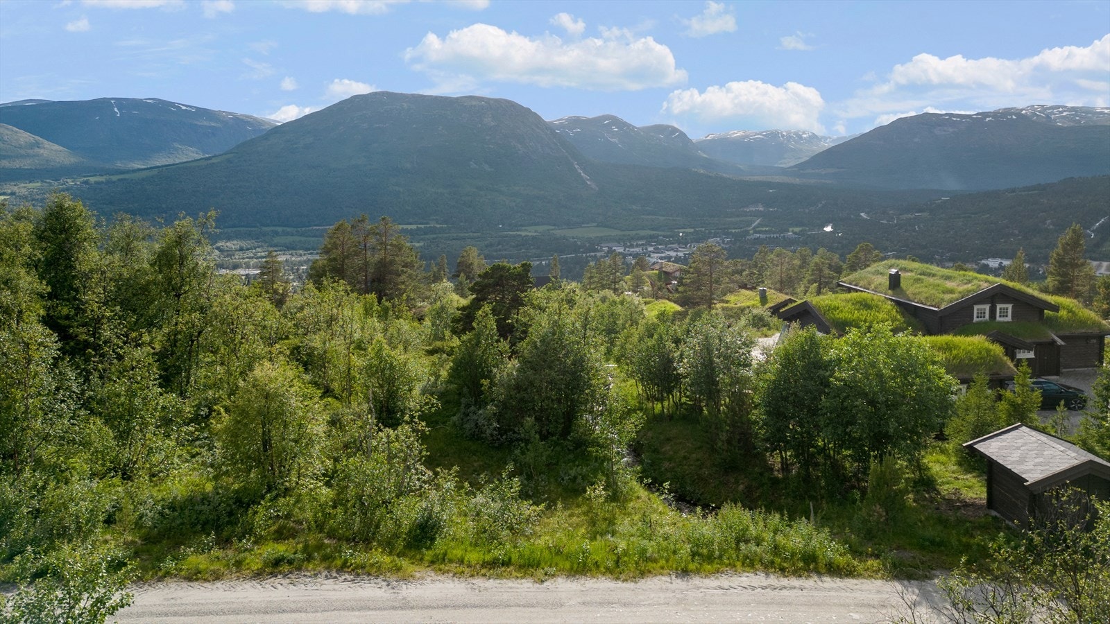 Utsikt fra tomten Galleribilde