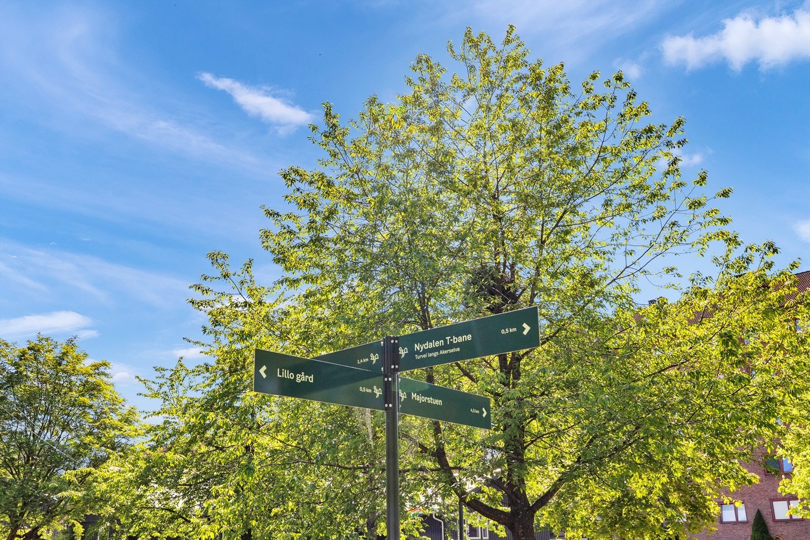 Området har de siste årene blitt opparbeidet med fine turstier helt fra Maridalsvannet i nord, forbi Nydalen og Grünerløkka og ned til Oslo sentrum og Bjørvika Galleribilde