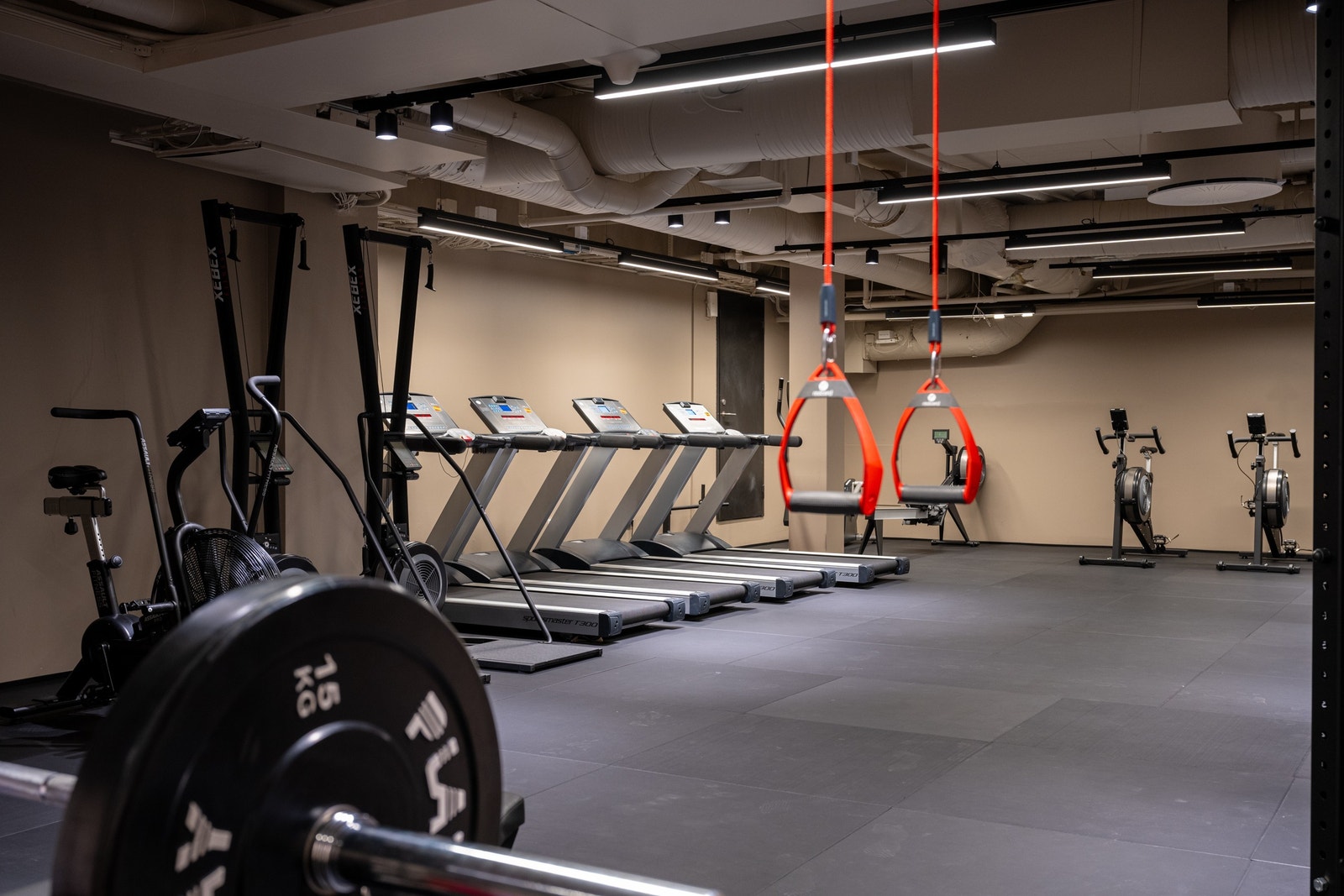 Fellesarealer Galleribilde