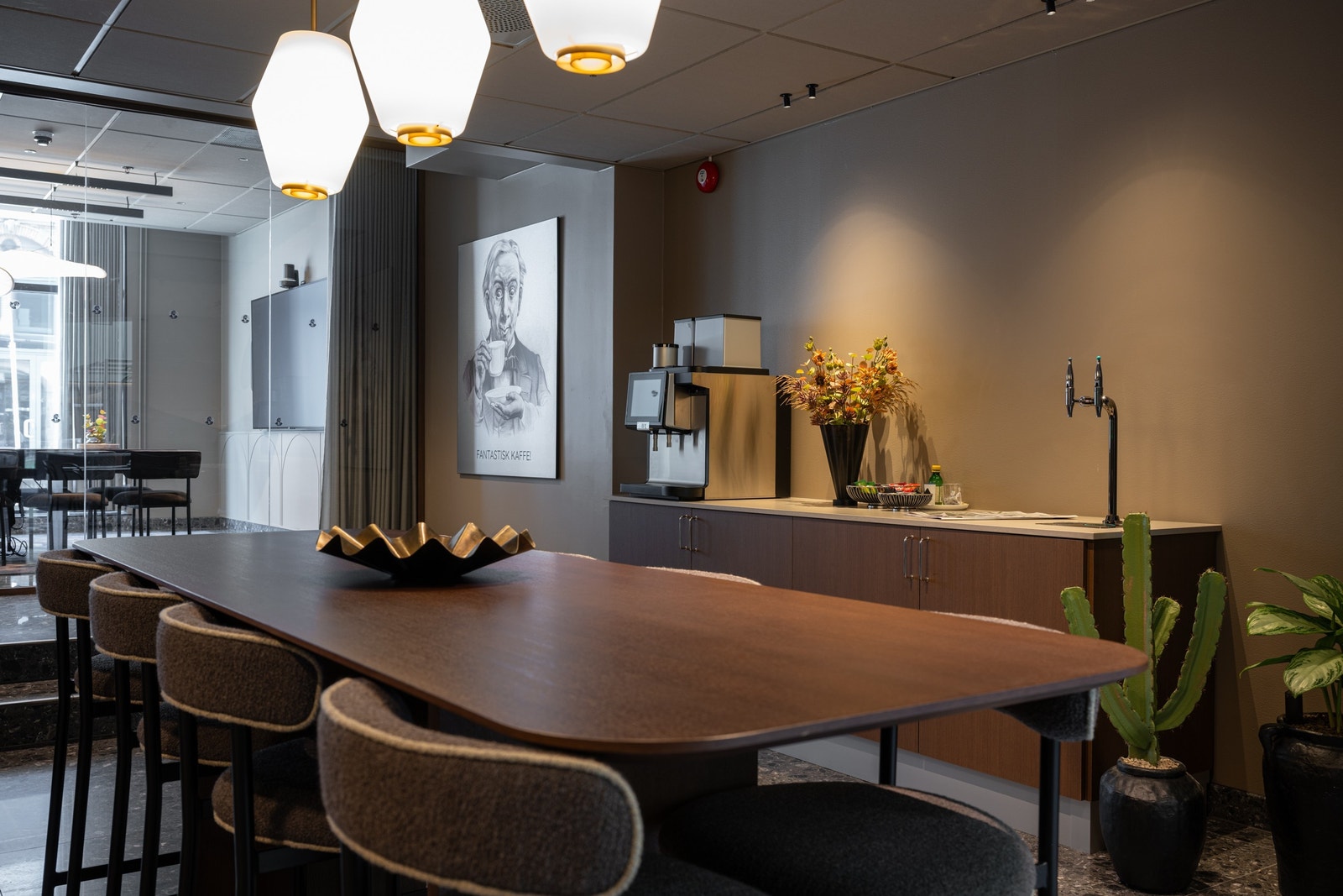 Fellesarealer Galleribilde