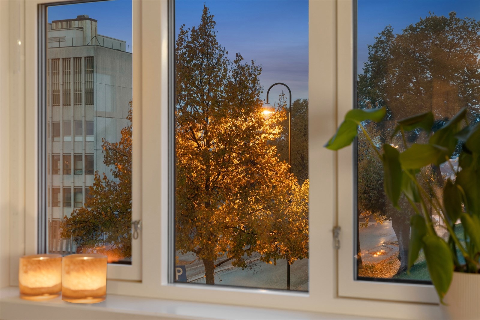 Utsikt fra stuen Galleribilde