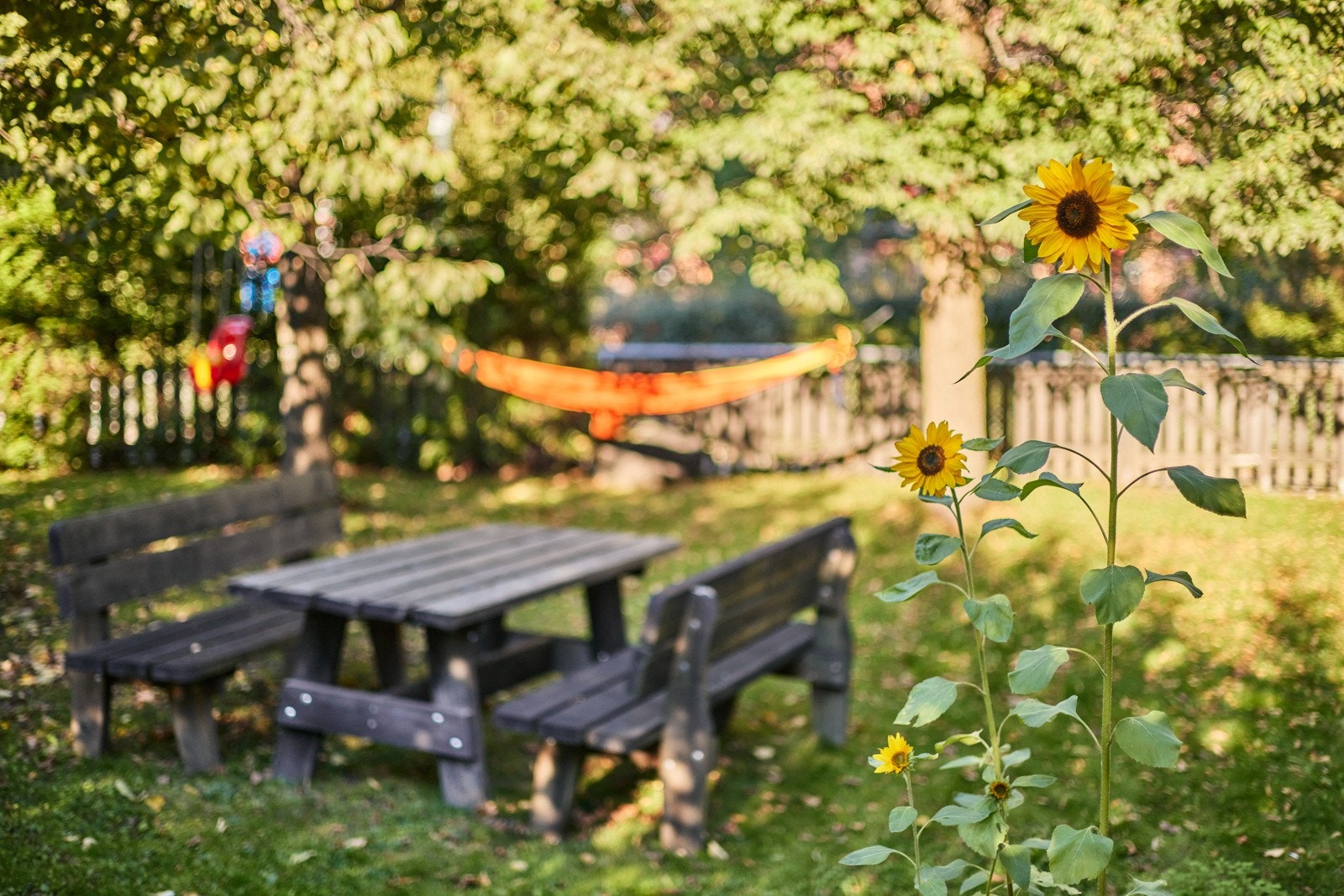 Hagen er svært pent opparbeidet med en rekke blomster og planter og gir et nydelig skue fra denne uteplassen. Galleribilde
