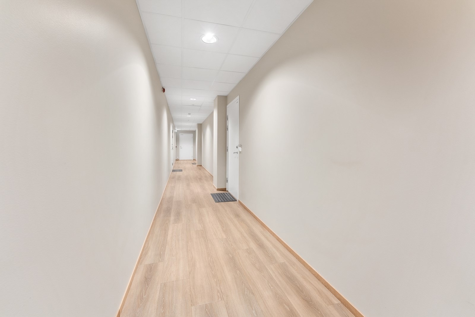 Felles gang Galleribilde