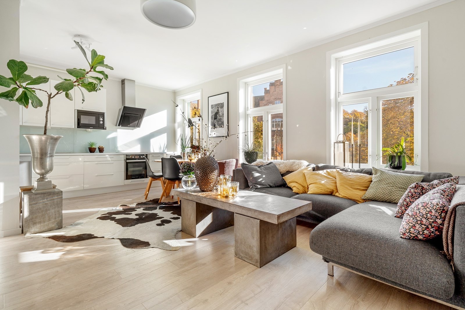 Velkommen til Trondheimsveien 24A! Galleribilde