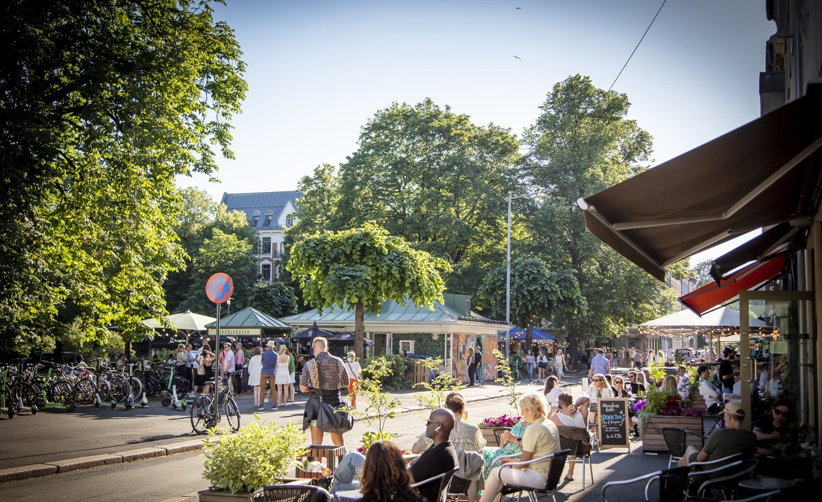 Områdebilde Galleribilde