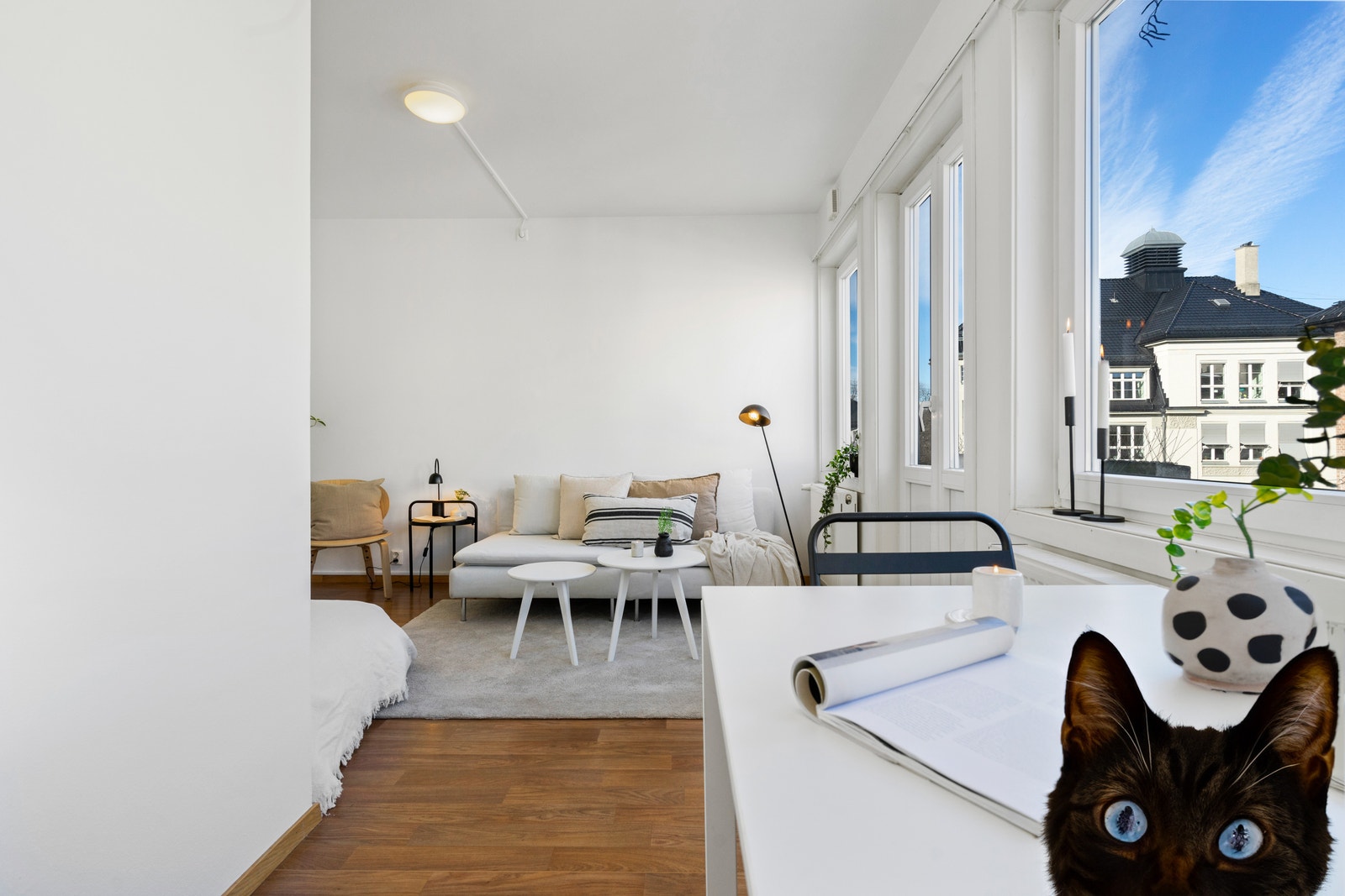 I Trondheimsveien 37 har vi mange ulike boliger i forskjellige størrelser- men best av ALT: Det er tillatt med husdyr på studentboligen! Vi er første som tilbyr dette i Oslo, BTW. Galleribilde