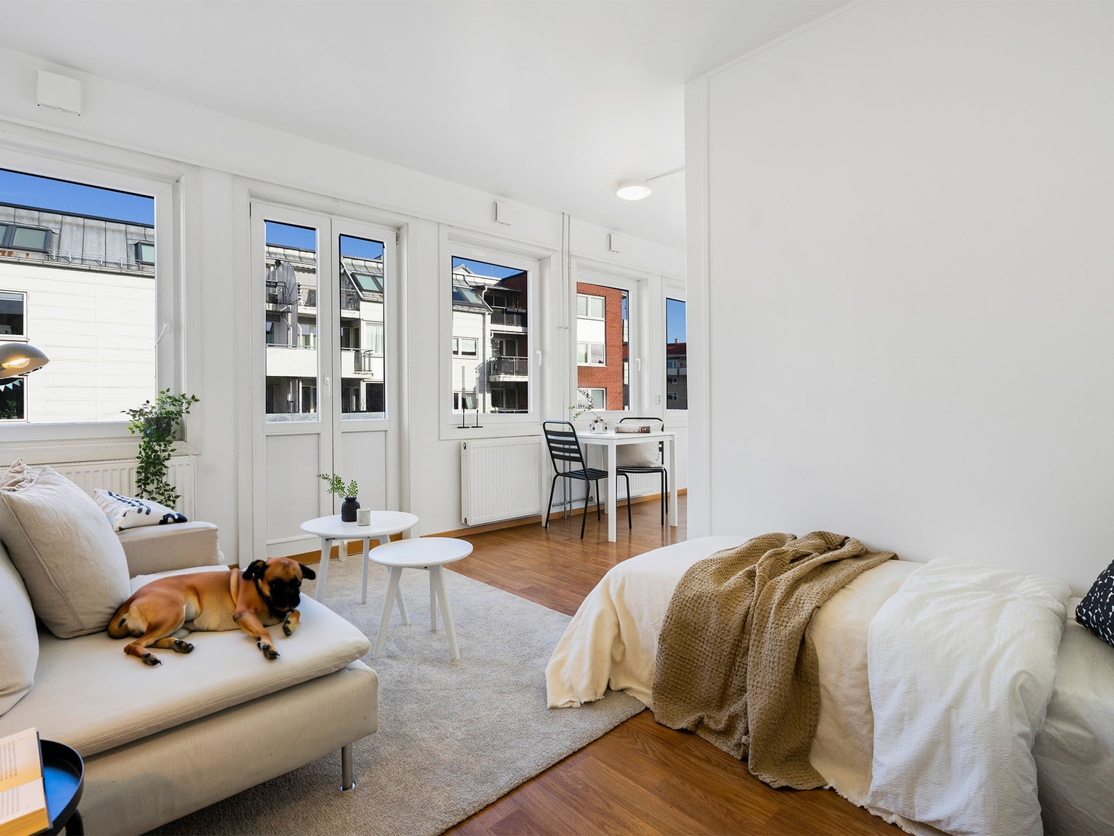 I Trondheimsveien 37 har vi mange ulike boliger i forskjellige størrelser- men best av ALT: Det er tillatt med husdyr på studentboligen! Vi er første som tilbyr dette i Oslo, BTW. Galleribilde