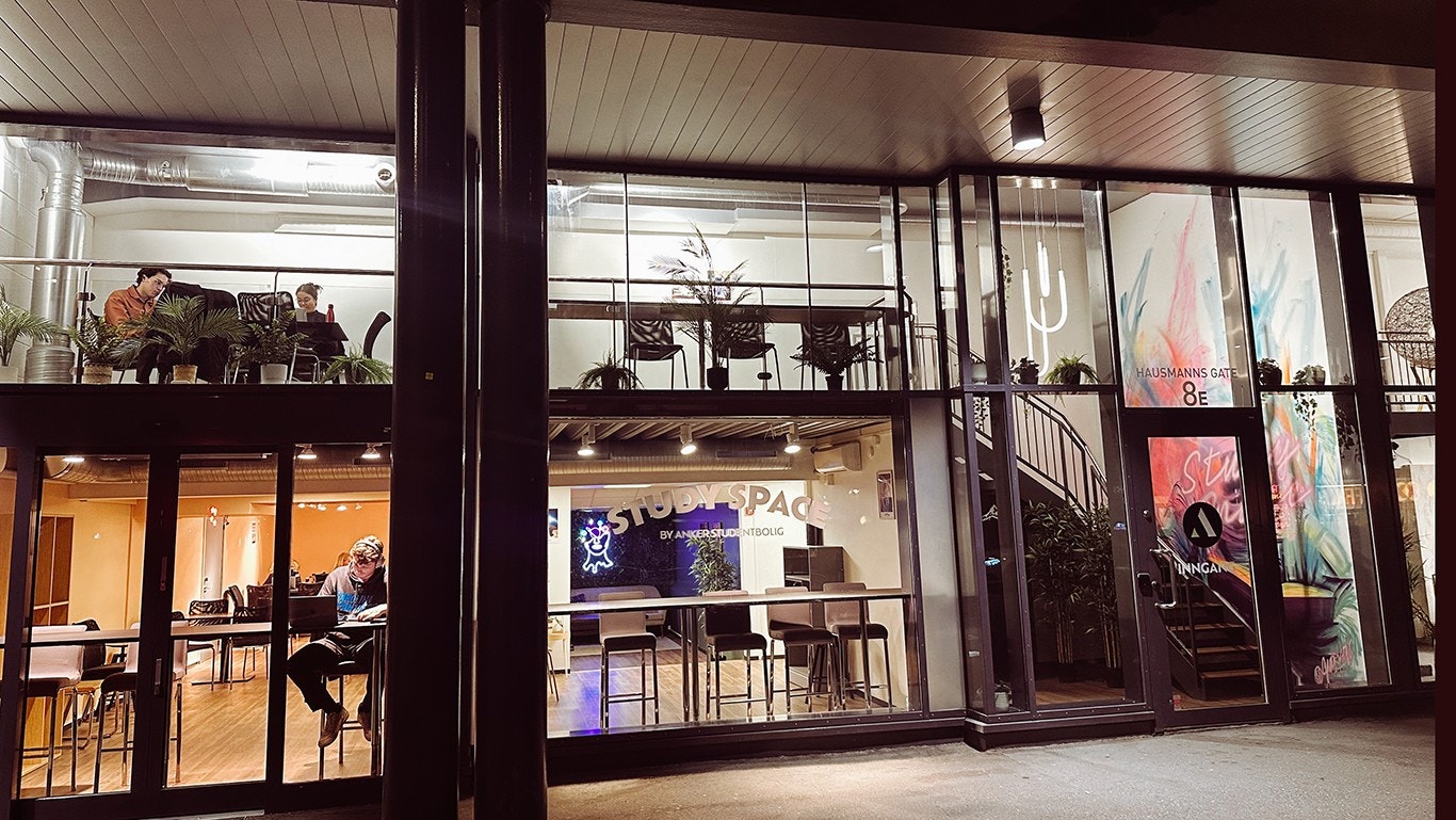 Studyspace, din egen lesesal under studietiden Galleribilde