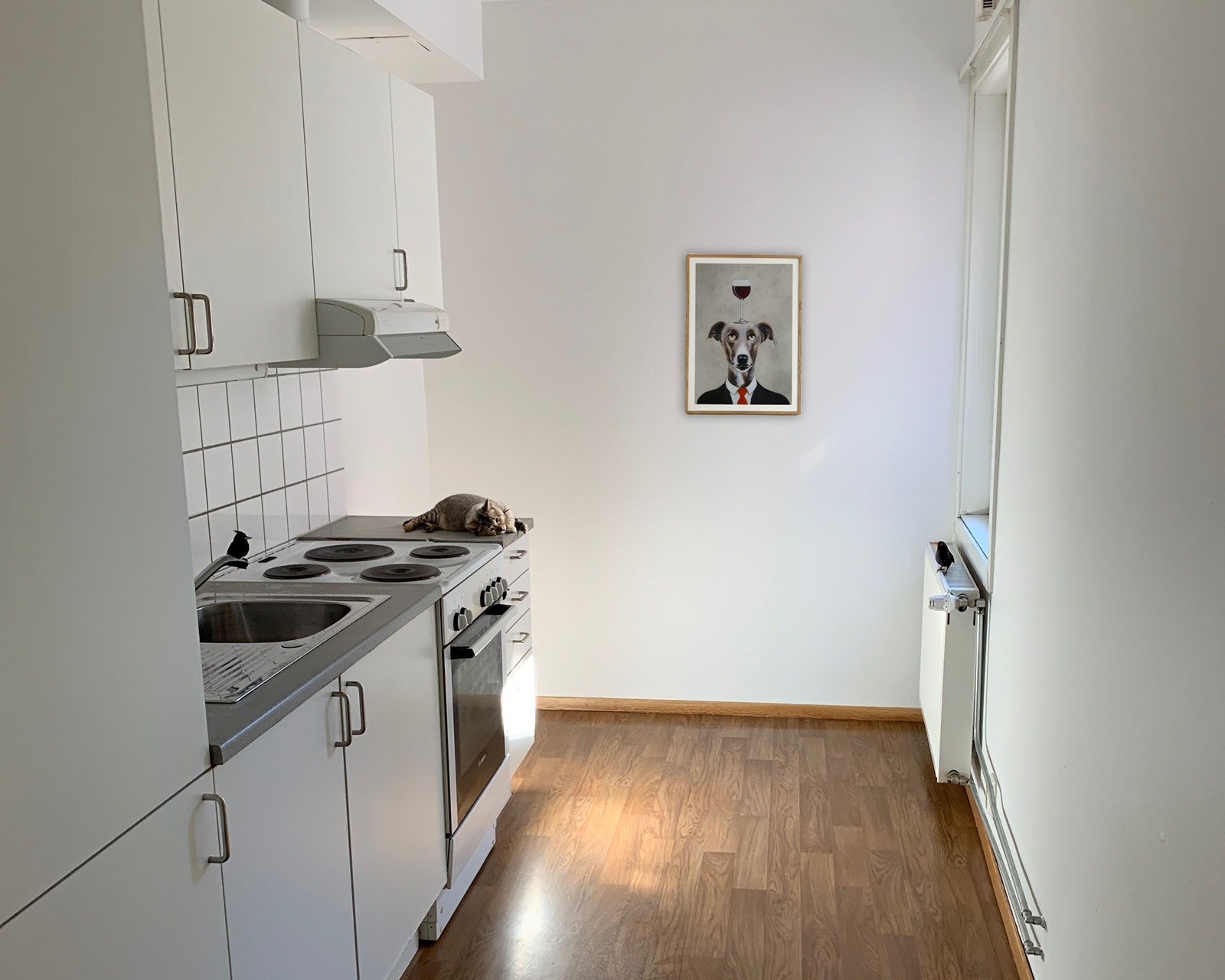 I Trondheimsveien 37 har vi mange ulike boliger i forskjellige størrelser- men best av ALT: Det er tillatt med husdyr på studentboligen! Vi er første som tilbyr dette i Oslo, BTW. Galleribilde
