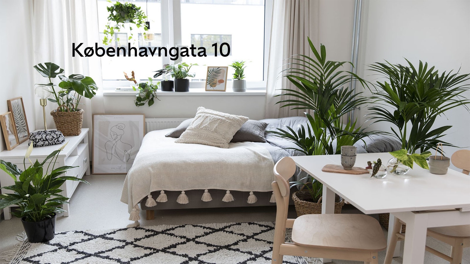 I Københavngata 10 har vi masse ulike leiligheter, men flest av 1-roms. I 2 etasje finner du Bunks Social Club med flere flotte fellesarealer. Galleribilde