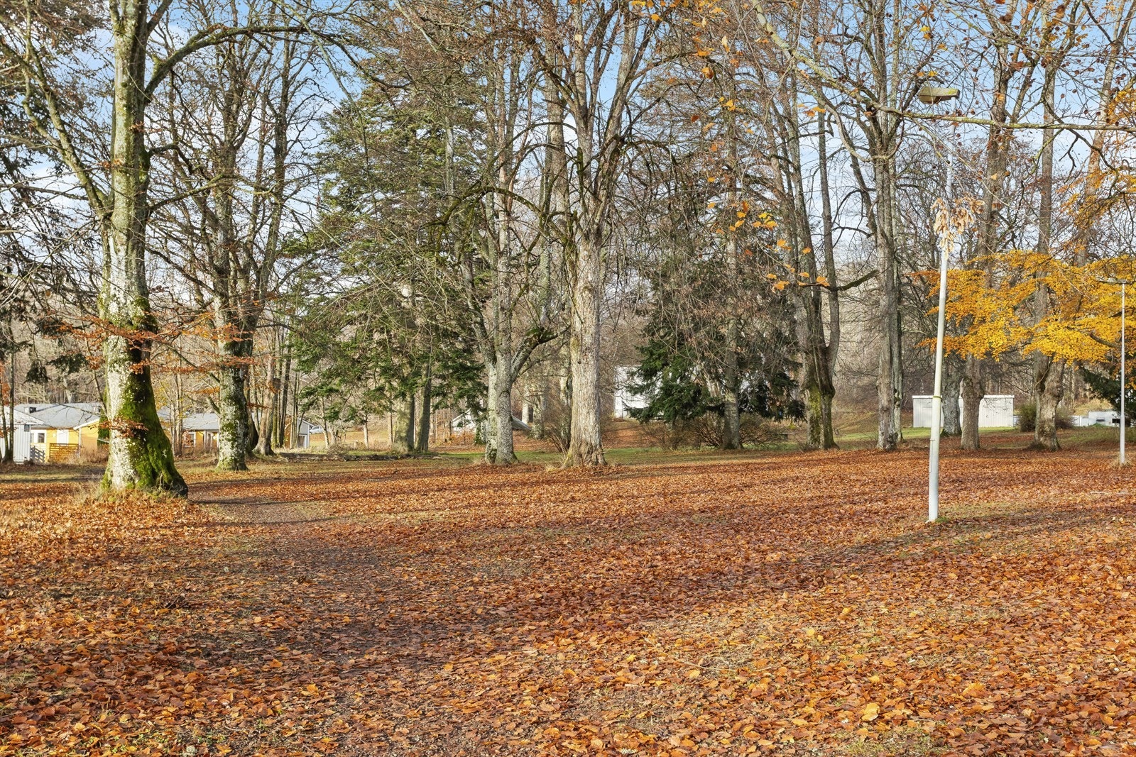 Kort vei til skog og mark, som Jeløya er kjent for Galleribilde