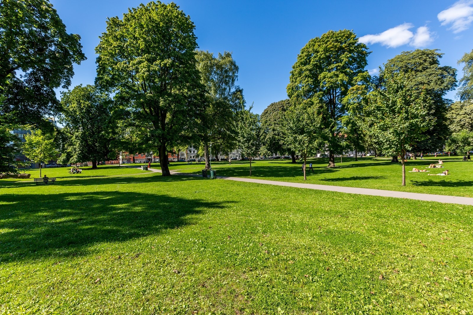 Sofienbergparken er en stor og populær park som ligger bare et par minutter fra leiligheten. Galleribilde