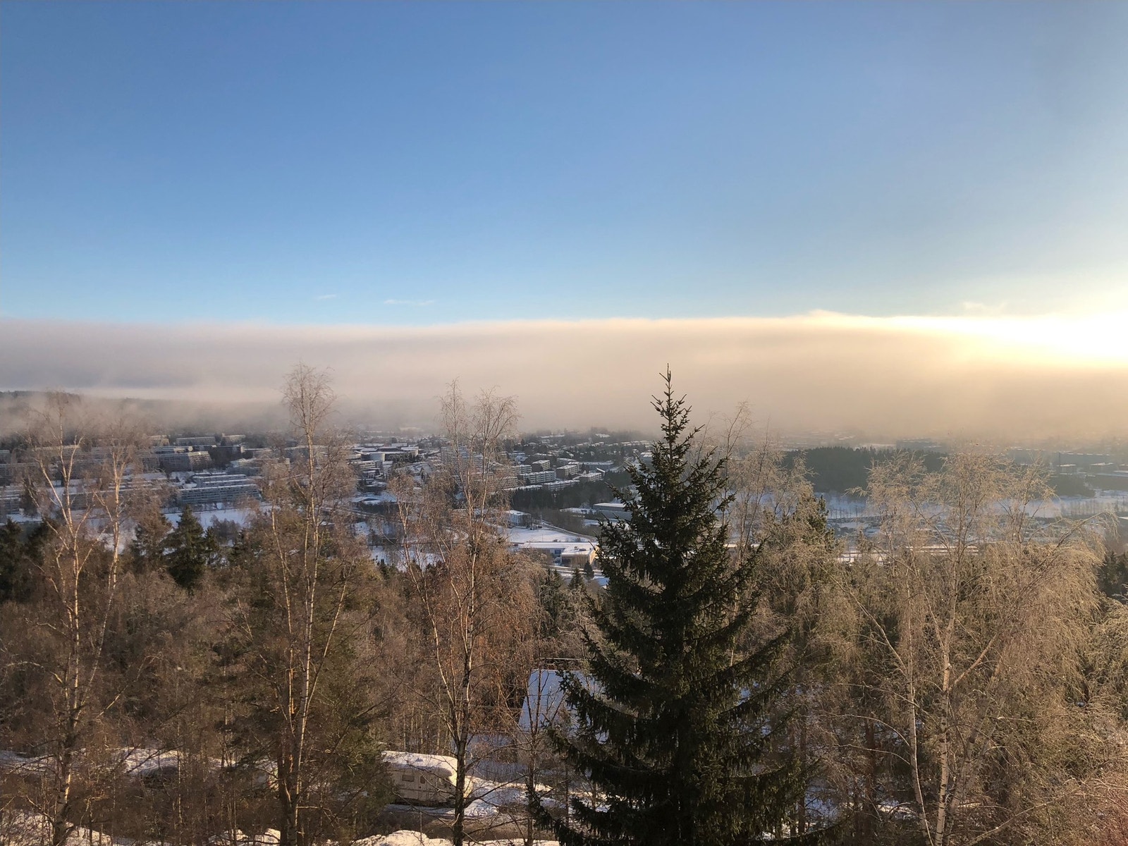 Selgers eget utsiktsbilde. Galleribilde